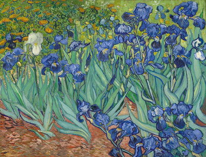 Irises by Vincent van Gogh - Famous Art Reproduction - ARABELART